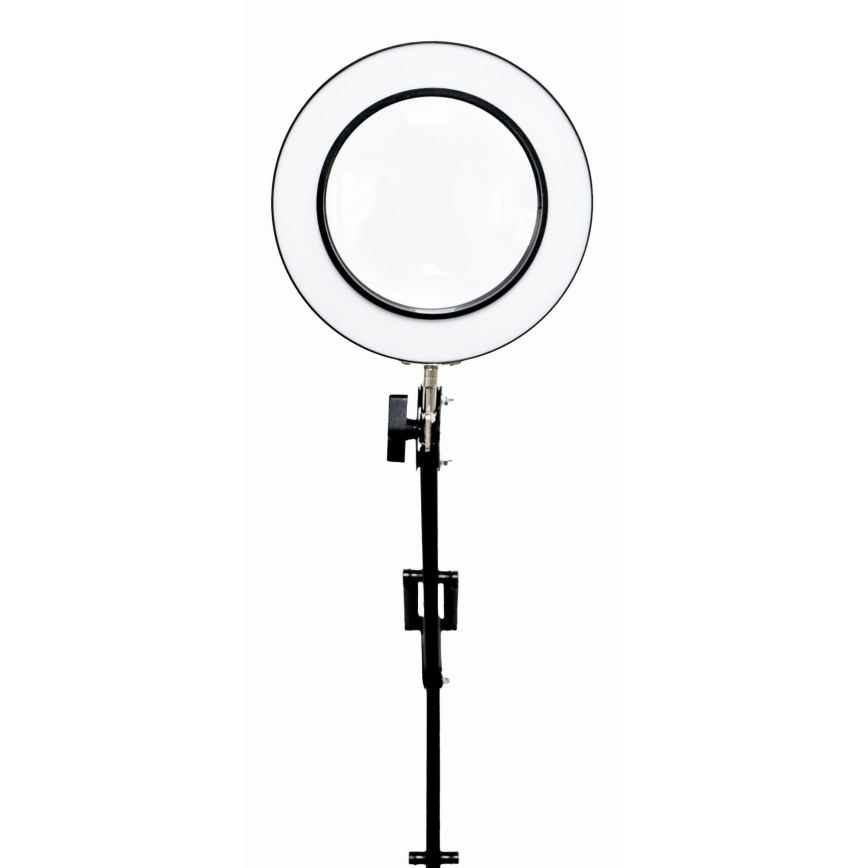 Lampada da tavolo LED dimmerabile con una lente d'ingrandimento LED/10W/230V 3000/4500/6000K