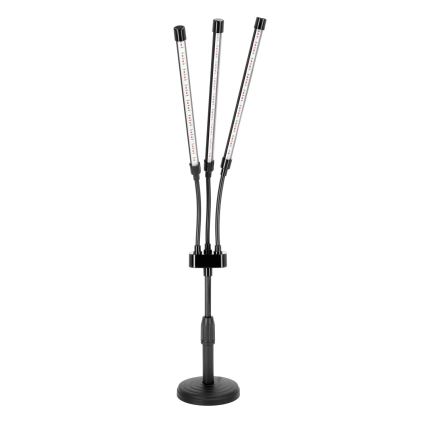 LED Dimmerabile flexible lampada da tavolo per la coltivazione di piante VITARO 3xLED/10W/230V nero