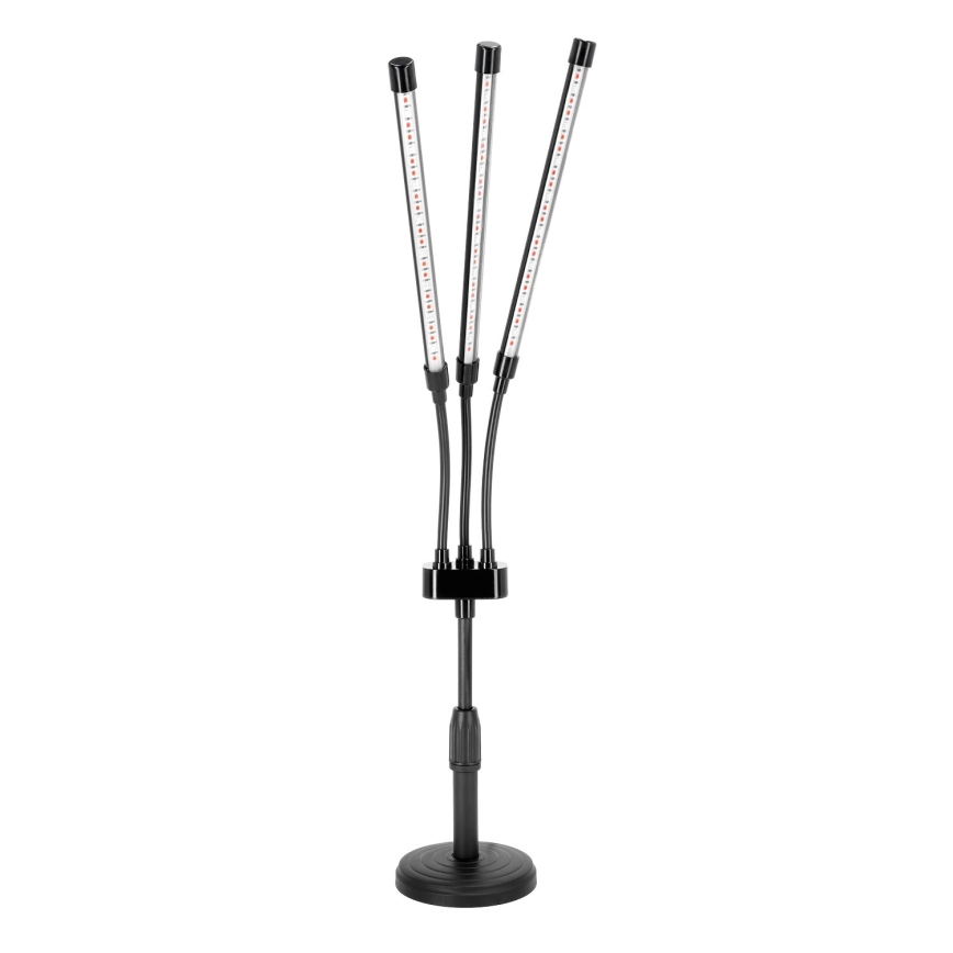 LED Dimmerabile flexible lampada da tavolo per la coltivazione di piante VITARO 3xLED/10W/230V nero