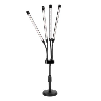LED Dimmerabile flessibile lampada da tavolo per la coltivazione di piante VITARO 4xLED/10W/230V nero
