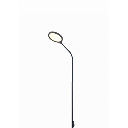 Lampada da terra dimmerabile a LED 2in1 LED/10W/230V 3000-4500-6500K nero