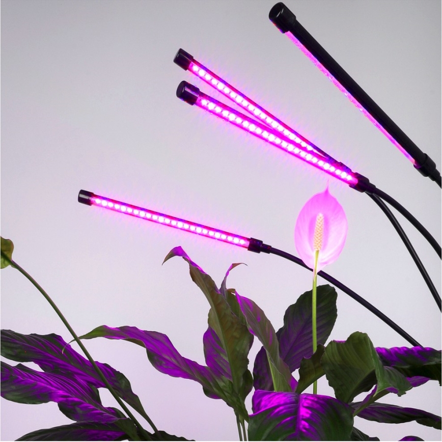 LED Dimmerabile flessibile lampada con piedistallo per la coltivazione di piante VITARO 4xLED/7,5W/230V nero