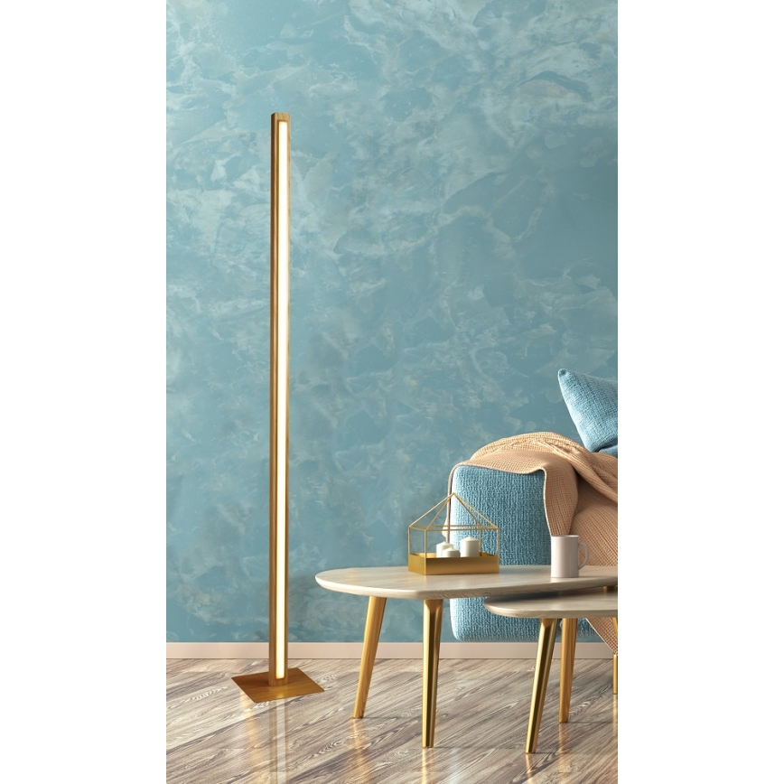 LED Dimmerabile touch lampada con piedistallo RODNEY LED/35W/230V faggio