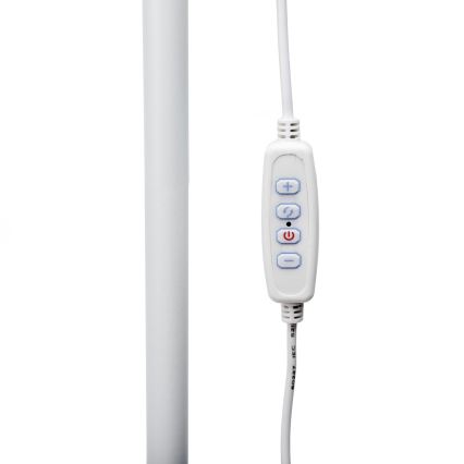 Lampada da terra dimmerabile a LED SIGNUS LED/10W/230V 3000/4500/6500K bianco