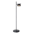 Lampada da terra LED OFELIA 1xGX53/6W/230V nero/fumé