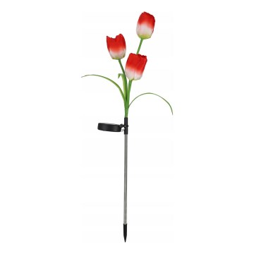 Lampada decorativa solare LED RGB 3xLED/3,7V 200 mAh IP44 tulipano