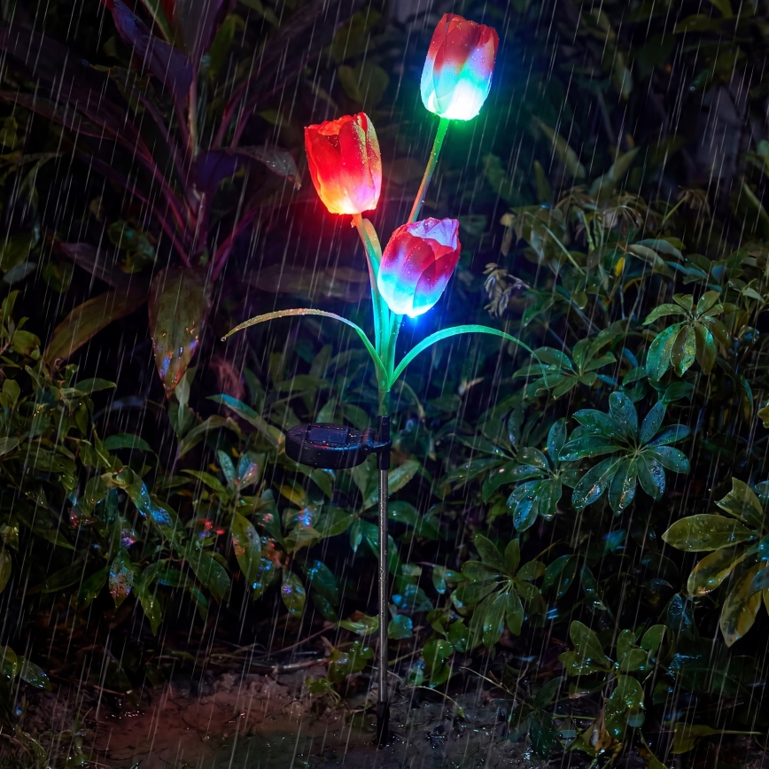 Lampada decorativa solare LED RGB 3xLED/3,7V 200 mAh IP44 tulipano