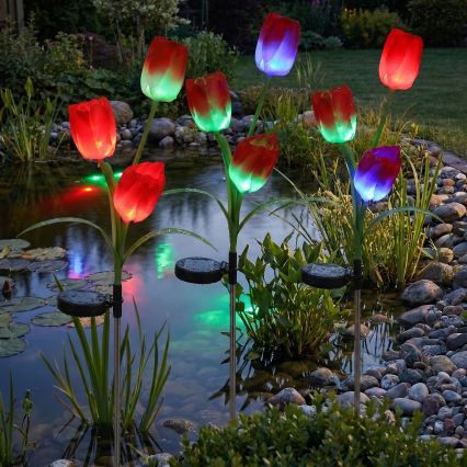 Lampada decorativa solare LED RGB 3xLED/3,7V 200 mAh IP44 tulipano