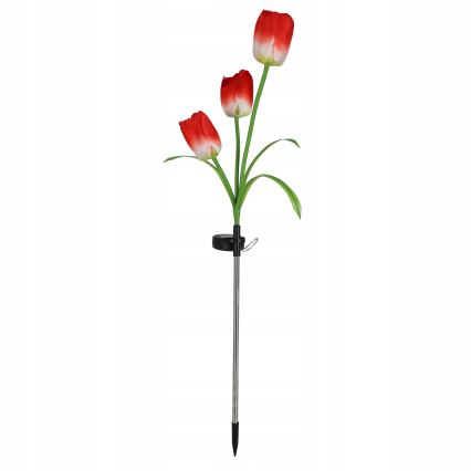 Lampada decorativa solare LED RGB 3xLED/3,7V 200 mAh IP44 tulipano