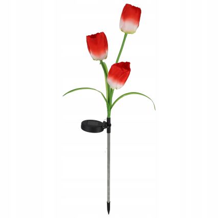 Lampada decorativa solare LED RGB 3xLED/3,7V 200 mAh IP44 tulipano