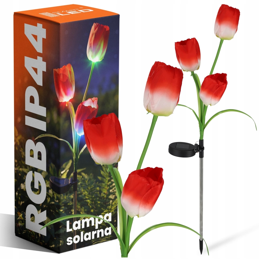 Lampada decorativa solare LED RGB 3xLED/3,7V 200 mAh IP44 tulipano