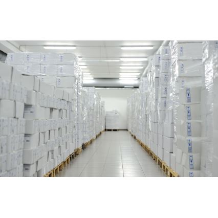 Lampada fluorescente pesante LIMEA T8 1xG13/20W/230V IP65 120cm
