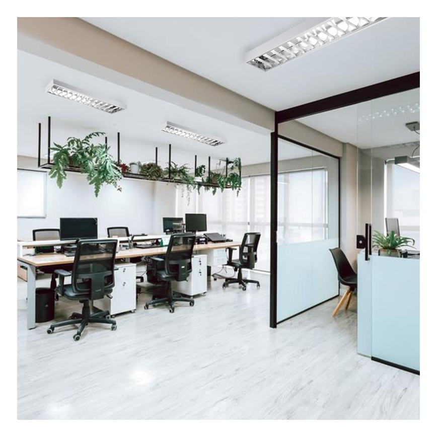 Lampada fluorescente T8 2xG13/18W/230V 120 cm bianco