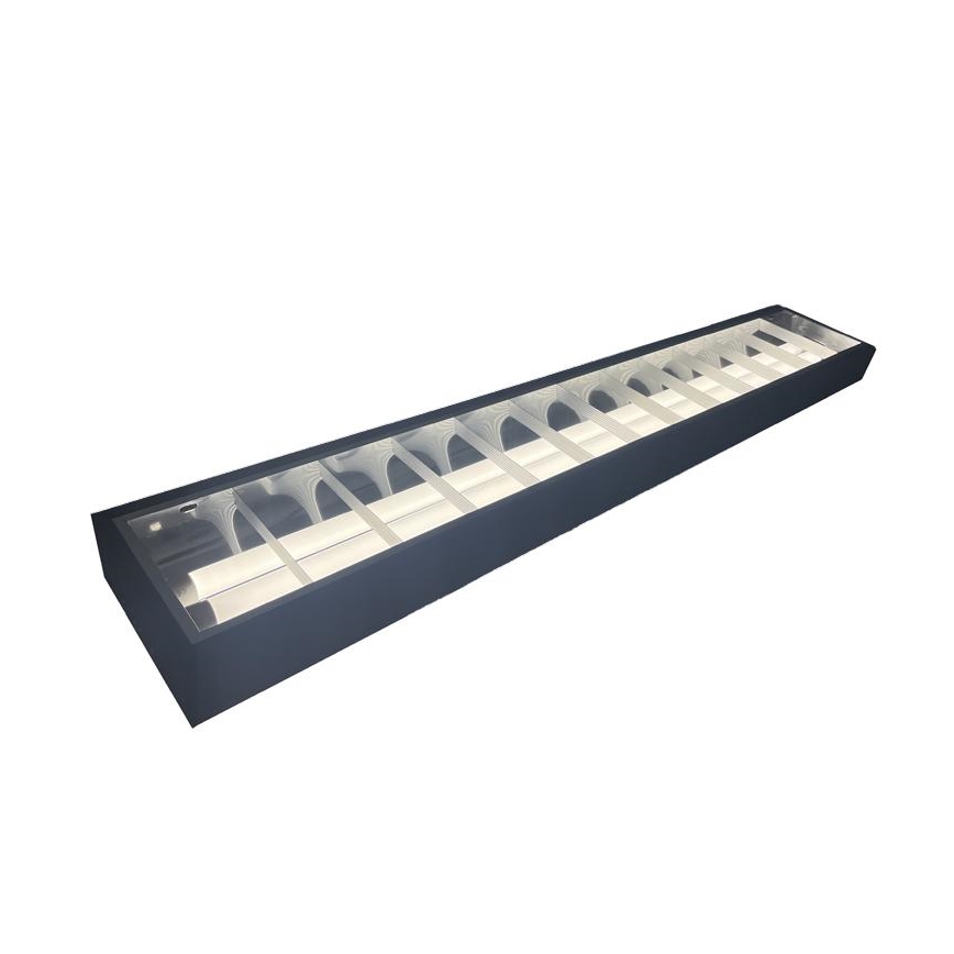 Lampada fluorescente T8 2xG13/18W/230V 120 cm nero