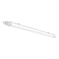 Lampada fluorescente tecnica LED LED/36W/230V 6500K IP65 120 cm
