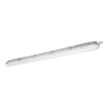 Lampada fluorescente tecnica LED NEXFORCE LED/36W/230V 4000K IP66
