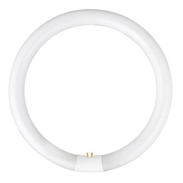 Lampada fluorescente YH G10q/28W/230V 6500K - Fulgur 03045 diametro 23 cm