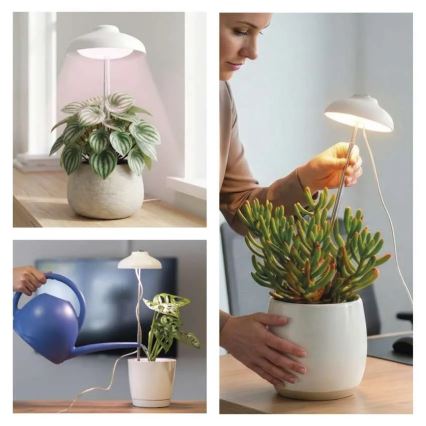 Lampada LED da interno per la coltivazione di piante GROW LED/5W/5V