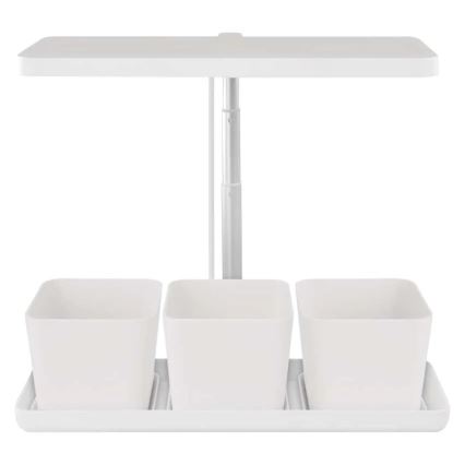 Lampada LED dimmerabile da interno per coltivazione di piante GROW LED/7W/5V