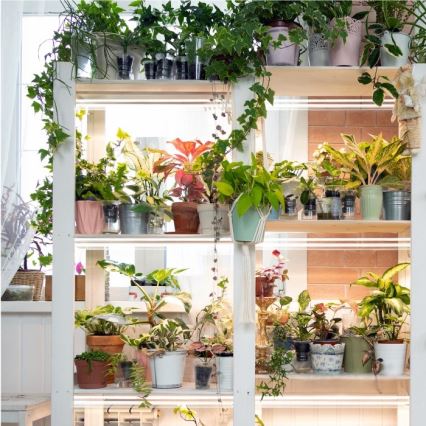 Lampada LED da sottolavello per coltivazione piante GROWLY 2xLED/8,5W/230V bianco