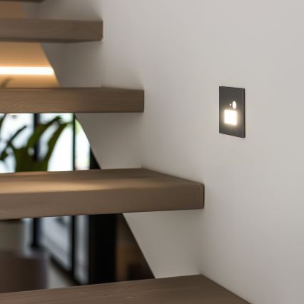 Lampada LED per scale con sensore di movimento e crepuscolare LED/1,5W/230V 3000/4000/6000K argento