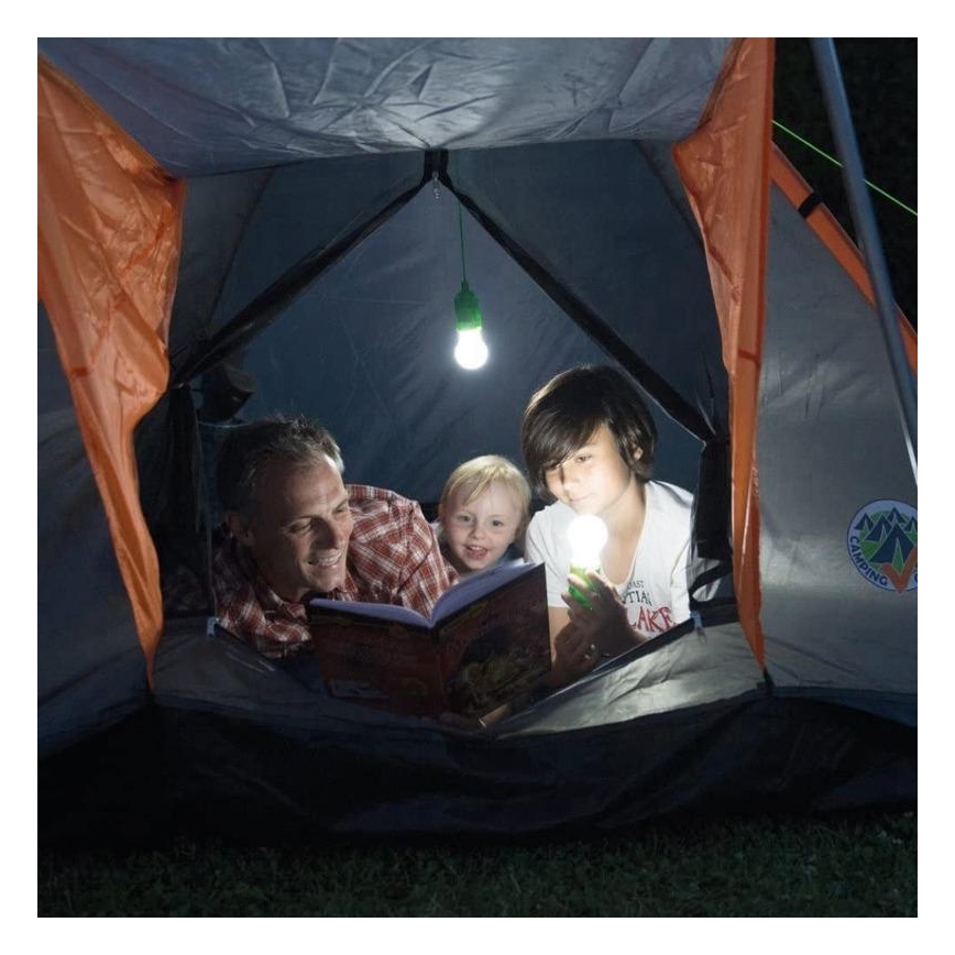 Lampada LED portatile LED/1W/3xAAA verde