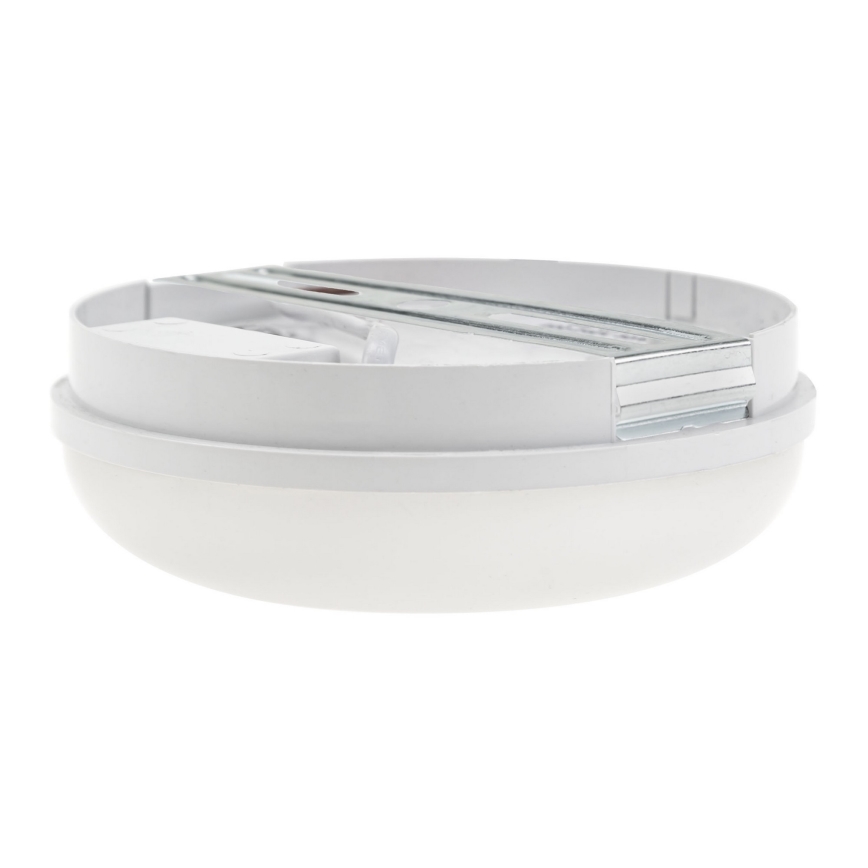 Lampada LED tecnica LED/8W/230V IP54