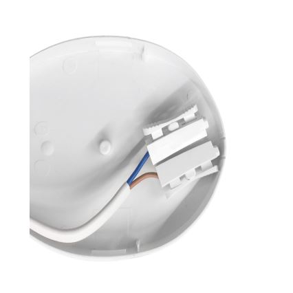 Lampada LED tecnica LED/8W/230V IP54