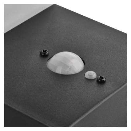 Lampada da parete solare LED con sensore LED/4,4W/3,7V 2200 mAh IP44