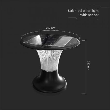 Lampada solare LED con sensore LED/15W/3,2V 4000K/6000K IP65