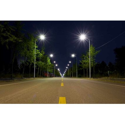 Lampada stradale LED BOSTON LED/35W/230V IP65