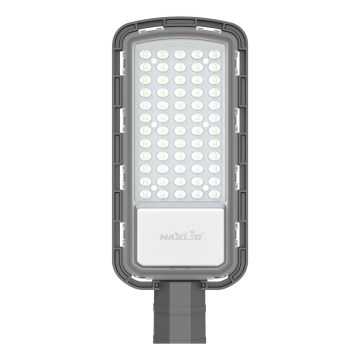 Lampada stradale LED LED/50W/230V 6500K IP65 grigio