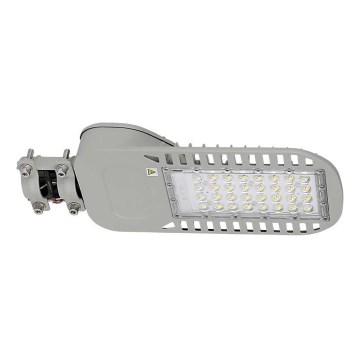Lampada stradale LED SAMSUNG CHIP LED/50W/230V 6500K grigio