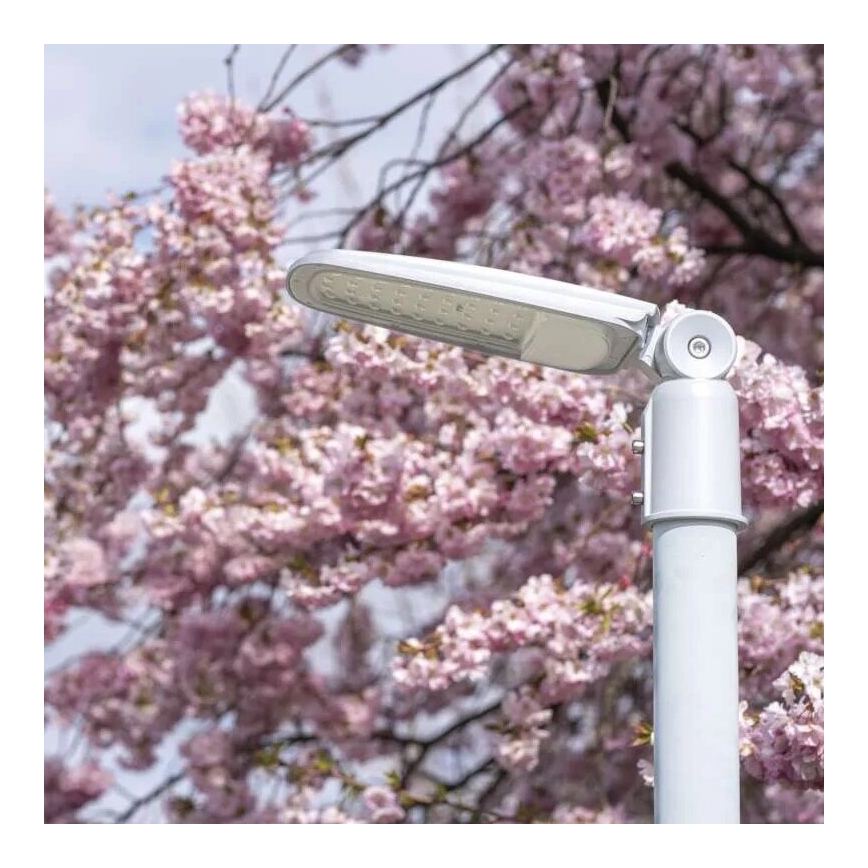 Lampada stradale LED SOLIS LED/30W/230V 4000K IP65