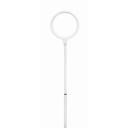 Lampadaire à intensité variable 2en1 LED/10W/230V blanc