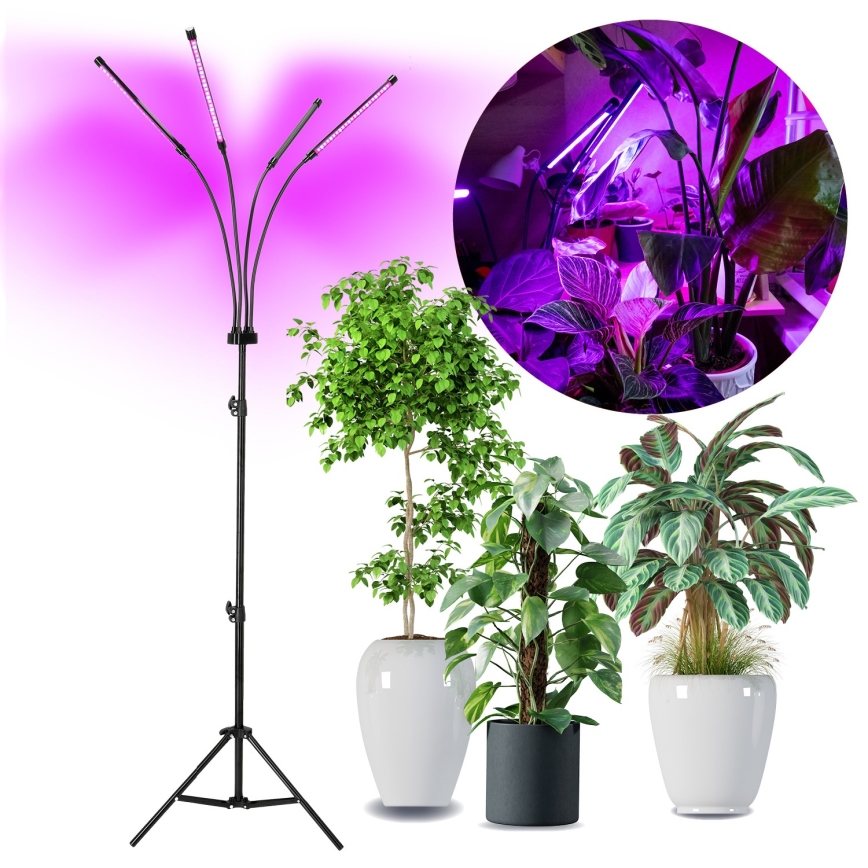 Lampadaire à intensité variable pour la culture de plantes VITARO 4xLED/7,5W/230V noir