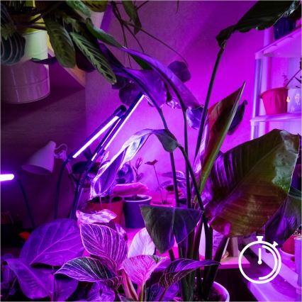 Lampadaire à intensité variable pour la culture de plantes VITARO 4xLED/7,5W/230V noir