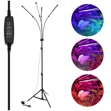 Lampadaire à intensité variable pour la culture de plantes VITARO 4xLED/7,5W/230V noir