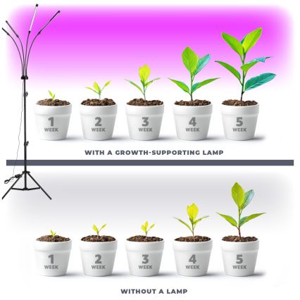 Lampadaire à intensité variable pour la culture de plantes VITARO 4xLED/7,5W/230V noir