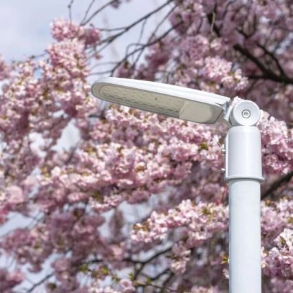 Lampadaire SOLIS LED/30W/230V 4000K IP65