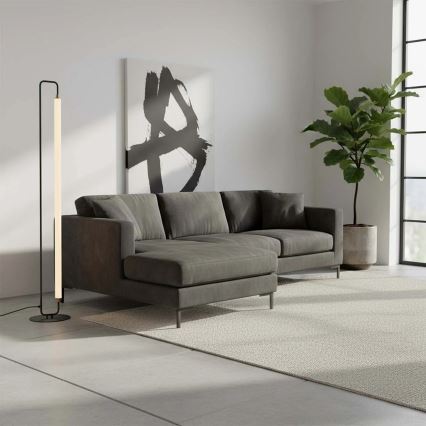 Lampadaire sur pied LED FELICJA LED/24W/230V 4000K noir