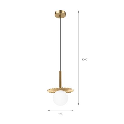 Lampadario a cavo CHITA 1xG9/5W/230V oro
