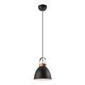 Lampadario a cavo DANIELLE 1xE27/60W/230V faggio