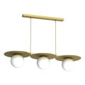 Lampadario a cavo FLAT 3xE27/15W/230V, finitura oro