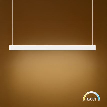 Lampadario a cavo LINEA LED/36W/230V 3000/4000/5700K CRI 90 bianco