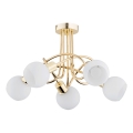 Lampadario a plafone ERYKA 5xE14/10W/230V oro