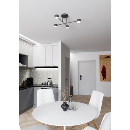 Lampadario a plafone HALO 4xGX53/10W/230V nero