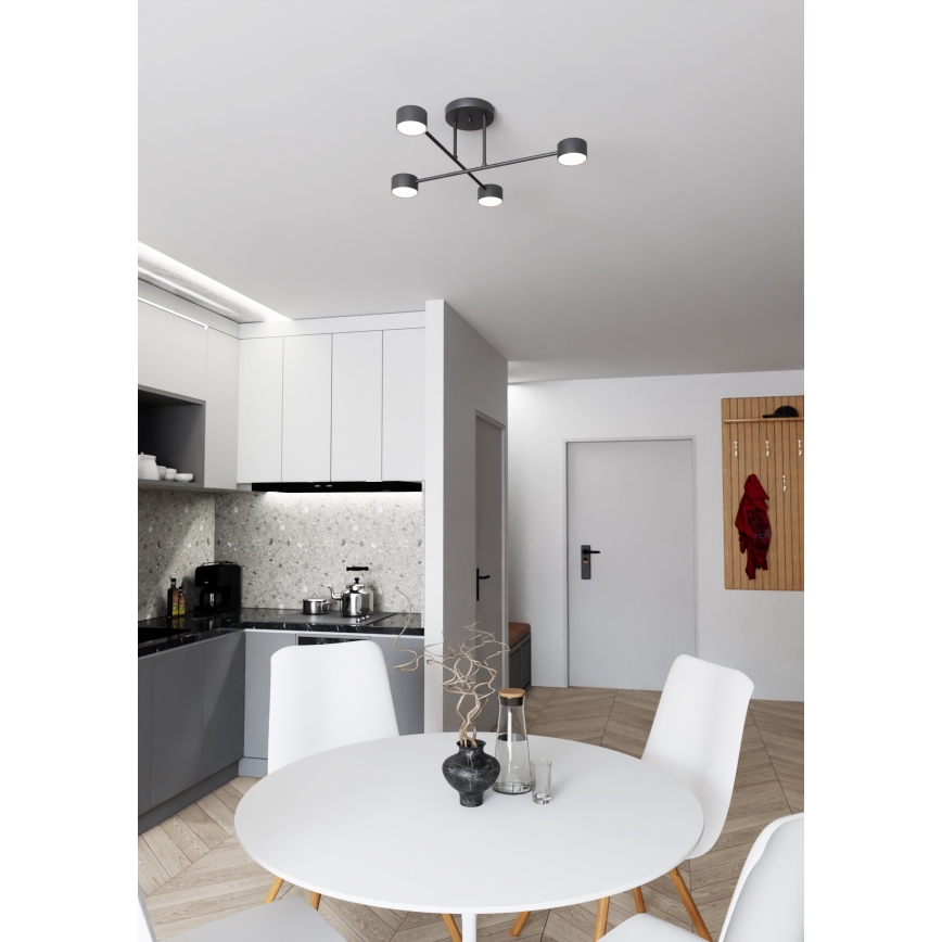 Lampadario a plafone HALO 4xGX53/10W/230V nero