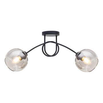 Lampadario a plafone LATIL 2xE27/60W/230V