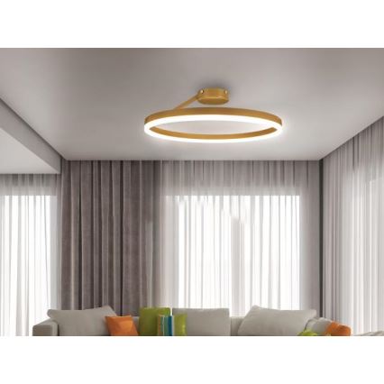 Lampadario a plafone LED dimmerabile LED/40W/230V 3000-6500K oro + telecomando